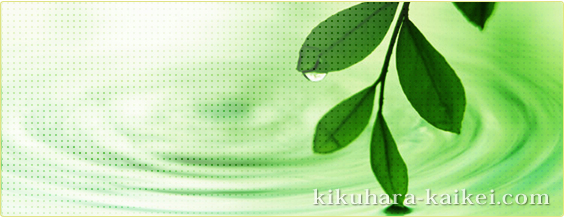 kikuhara-kaikei.com